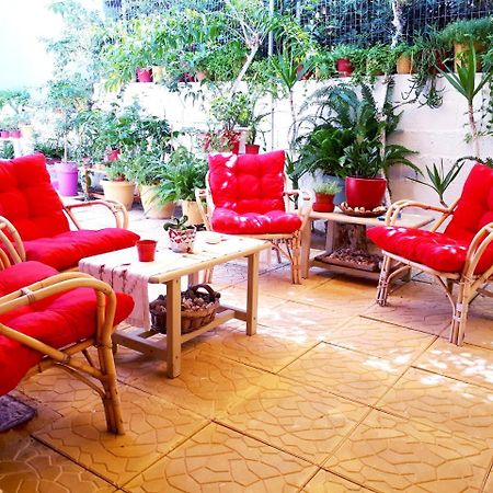 فندق Zante Dahlia لاغاناس المظهر الخارجي الصورة