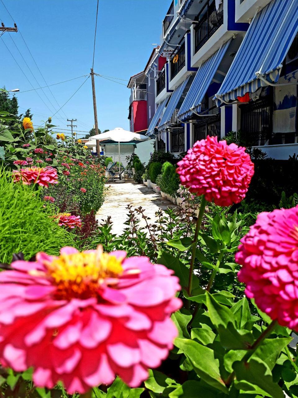 فندق Zante Dahlia لاغاناس المظهر الخارجي الصورة