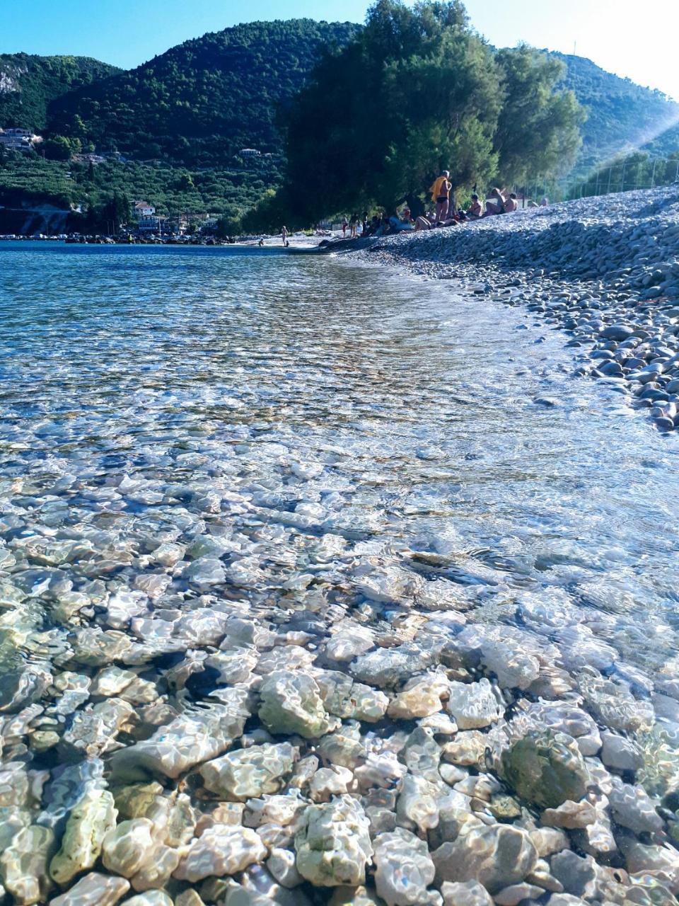 فندق Zante Dahlia لاغاناس المظهر الخارجي الصورة