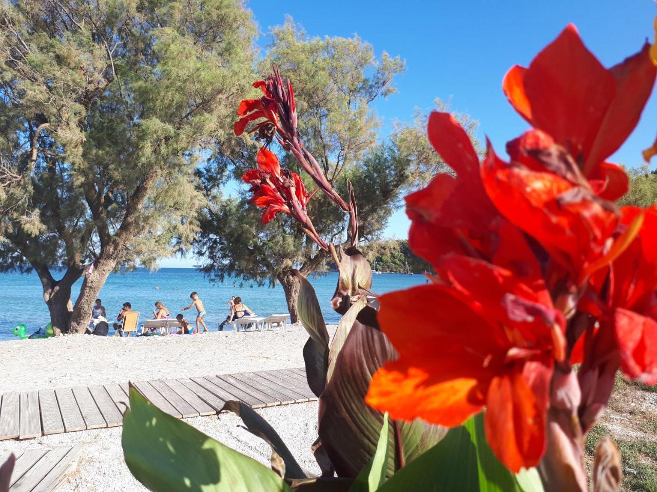 فندق Zante Dahlia لاغاناس المظهر الخارجي الصورة