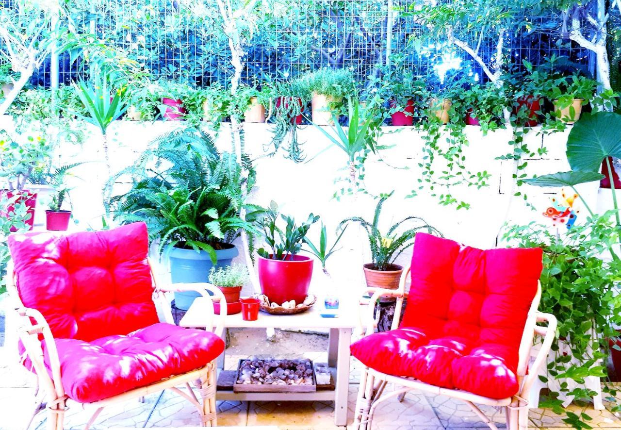 فندق Zante Dahlia لاغاناس المظهر الخارجي الصورة